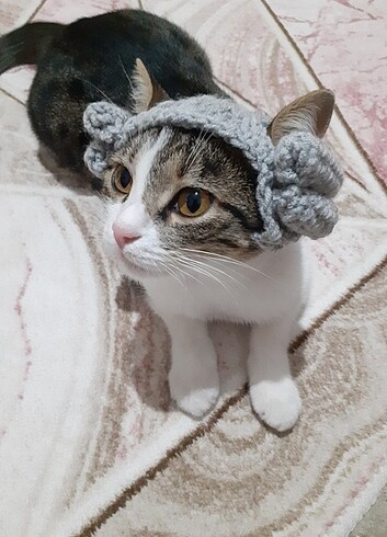 İngiliz Avukat Peruğu Modeli Kroşe Kedi Şapkası 