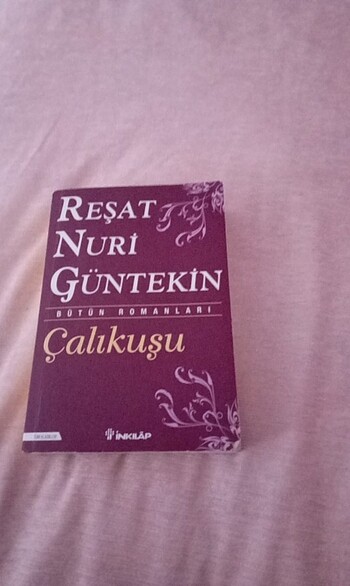 Reşat Nuri Gültekin 