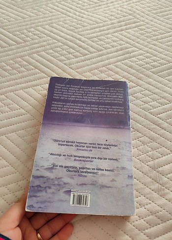 Şizofren - Wulf Dorn - Görsel 2