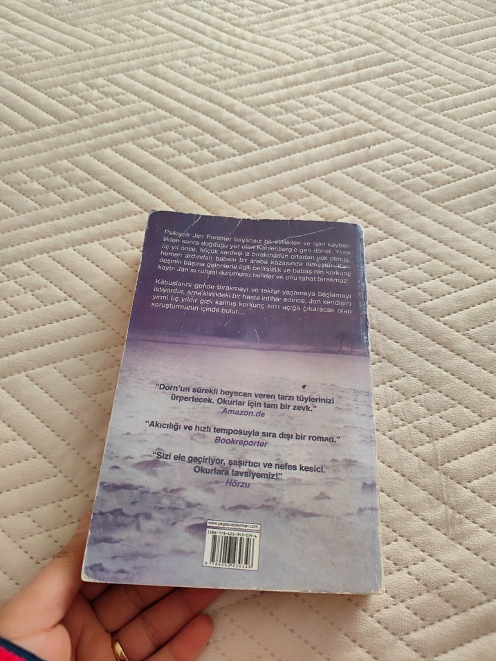 Şizofren - Wulf Dorn - Görsel 2