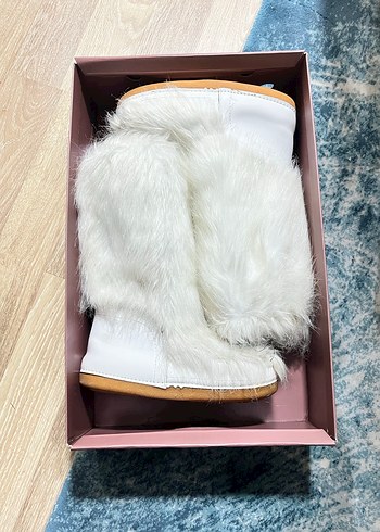 Walt Disney World 37