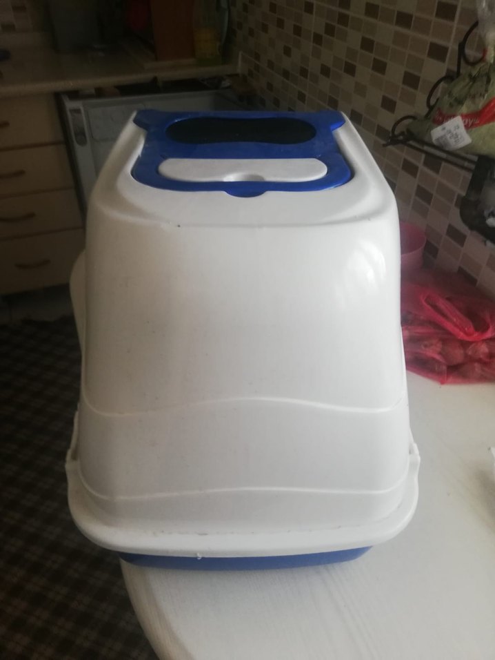 Mavi Kapaklı Kedi Tuvaleti ve Taşıma Kutusu - Görsel 4