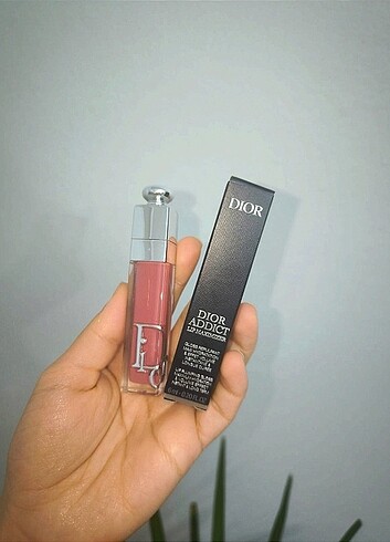 Dior 009 lip gloss 