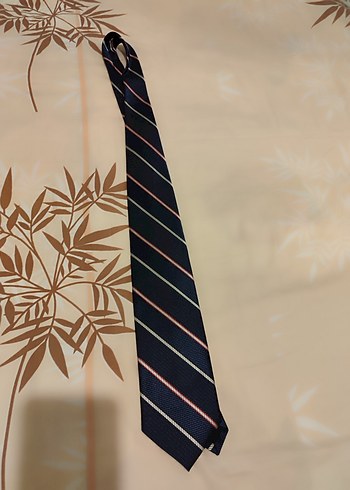 Çok Renkli Klasik Erkek Kravatları - Görsel 5