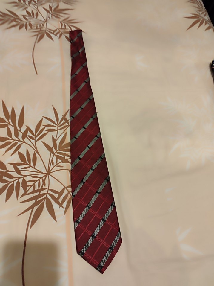 Çok Renkli Klasik Erkek Kravatları - Görsel 4