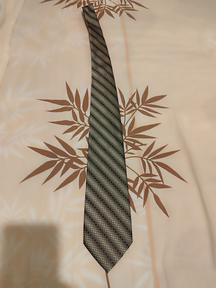 Çok Renkli Klasik Erkek Kravatları - Görsel 3