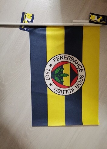  Beden fenerium 