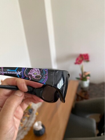 GÜNEŞ GÖZLÜĞÜ - Görsel 5