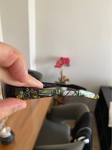 GÜNEŞ GÖZLÜĞÜ - Görsel 6