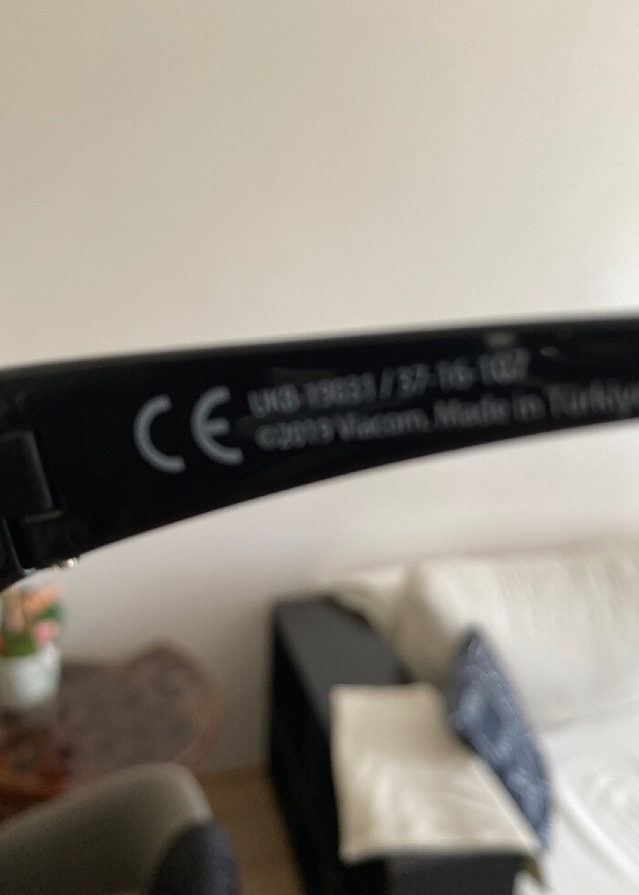 GÜNEŞ GÖZLÜĞÜ - Görsel 4