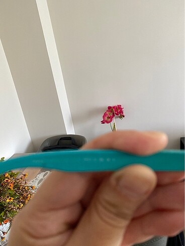 GÜNEŞ GÖZLÜĞÜ - Görsel 4