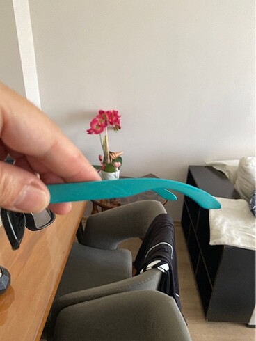 GÜNEŞ GÖZLÜĞÜ - Görsel 5