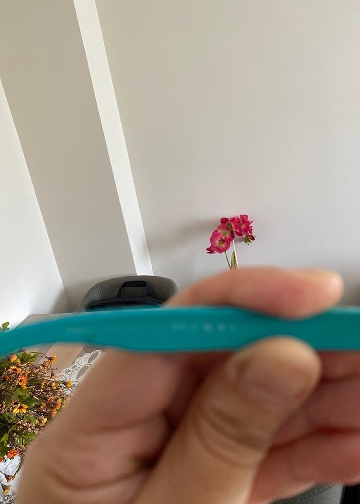 GÜNEŞ GÖZLÜĞÜ - Görsel 4