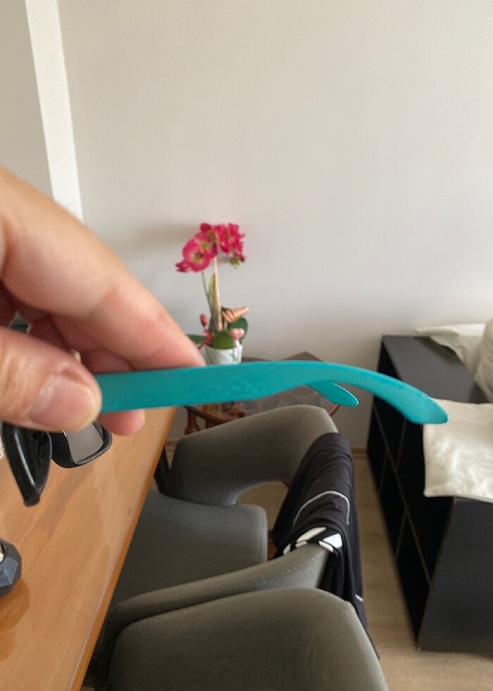 GÜNEŞ GÖZLÜĞÜ - Görsel 5