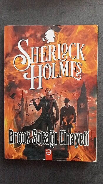Beden Renk kitap