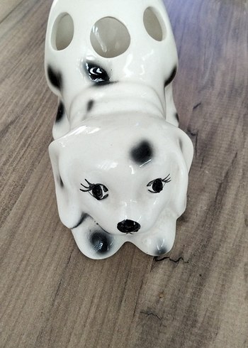 Dis Fırçalık