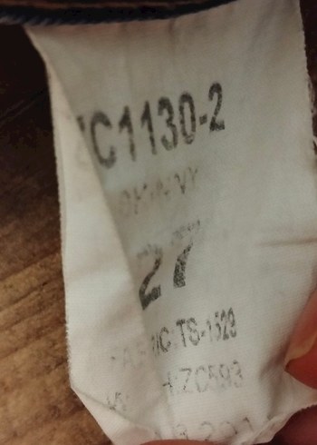 Kot  Şort - Görsel 4