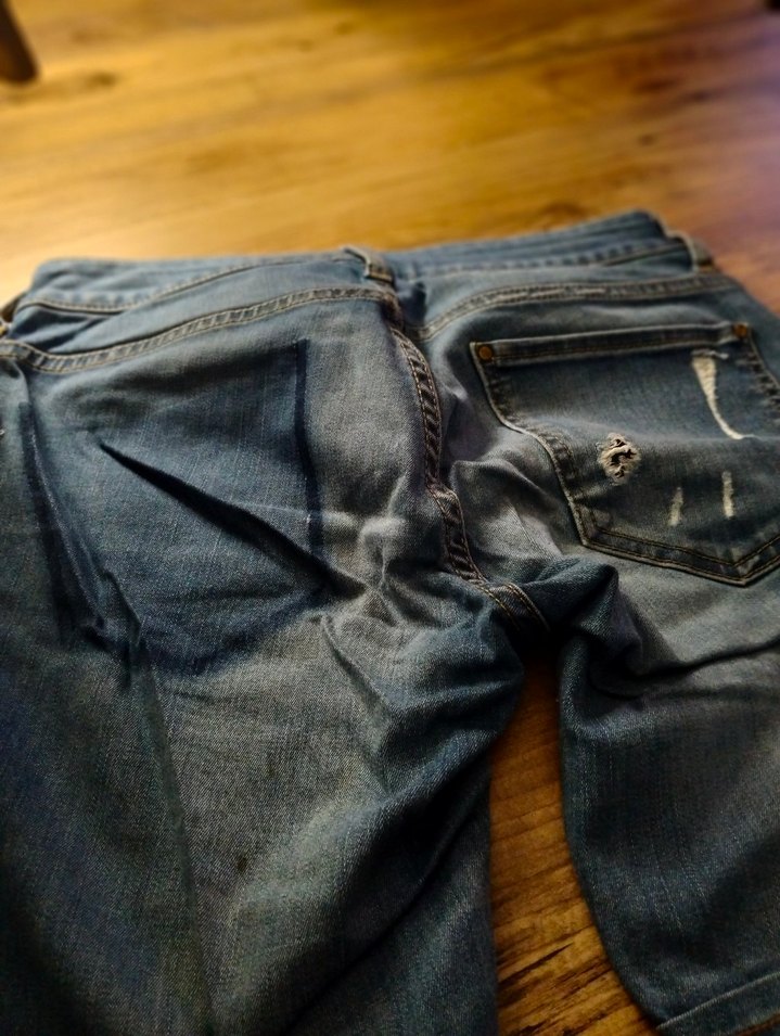 Kot  Şort - Görsel 3