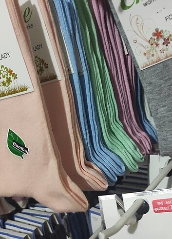 Çorap 