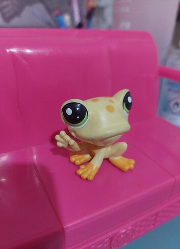  Beden LPS minis