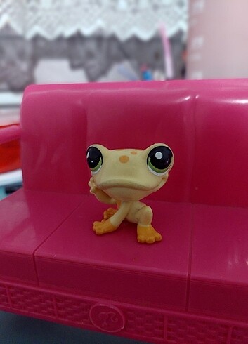  Beden Renk LPS minis