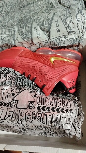 Lebron 19