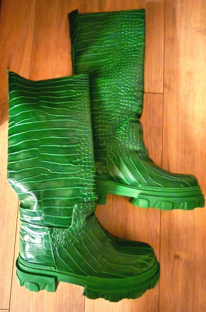 Rugan Krokodil Desenli Çizme - Görsel 5