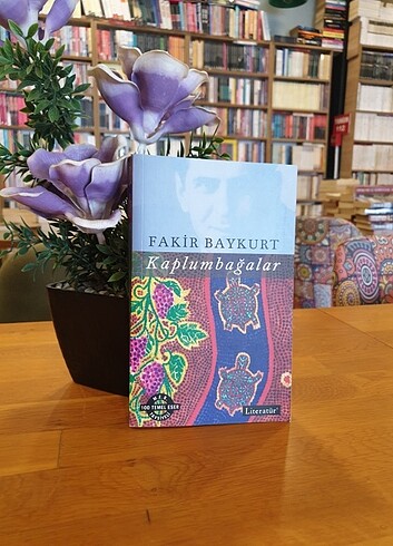 Türk klasikleri kitap 
