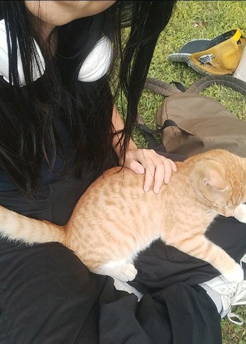 Retro camera SIFIR!! - Görsel 12