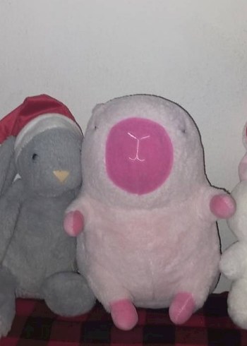 Retro camera SIFIR!! - Görsel 10