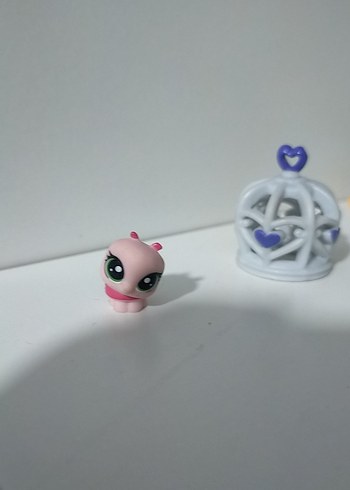 LPS MİNİŞ - Görsel 3