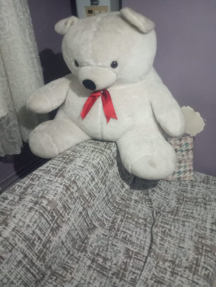 Beyaz Peluş Ayıcık Oyuncak - Görsel 2