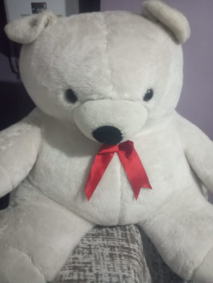 Beyaz Peluş Ayıcık Oyuncak - Görsel 3