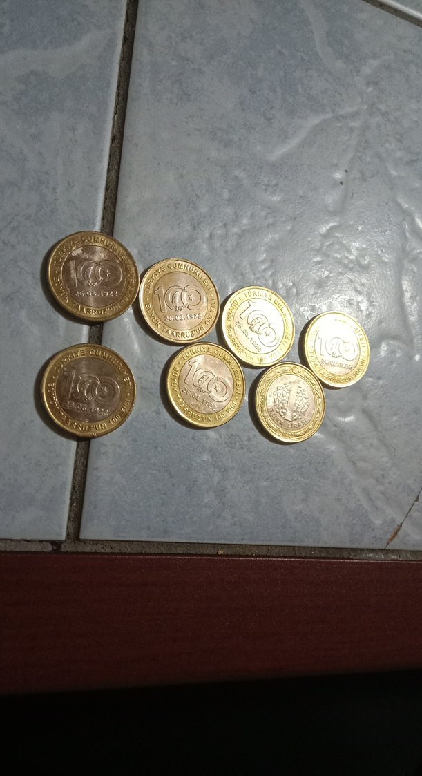 100.yil parasi - Görsel 2