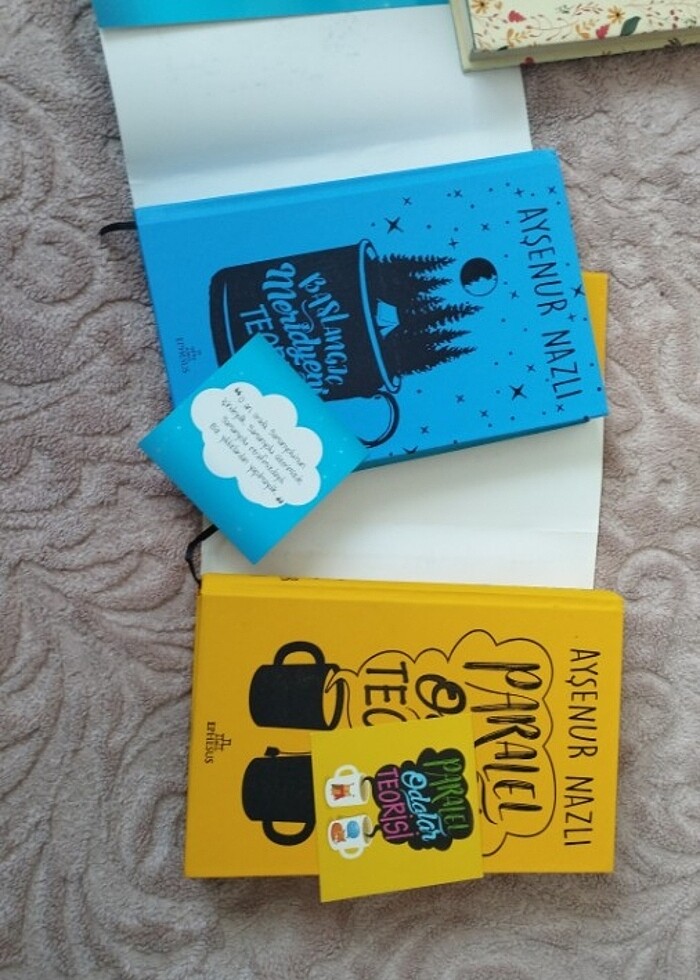 Paralel odalar teorisi 1-2 - Görsel 2