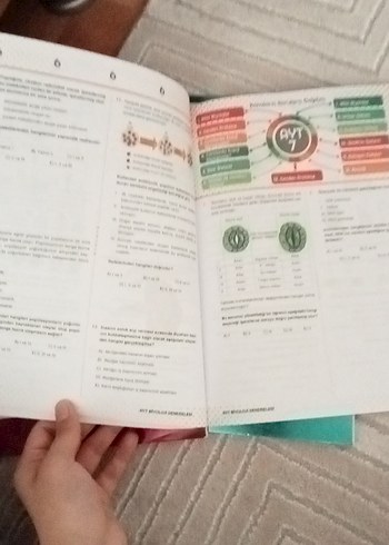 Beden Renk AYT Kimya, Biyoloji, Fizik denemeleri.
