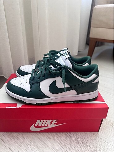 Nike dunk 42
