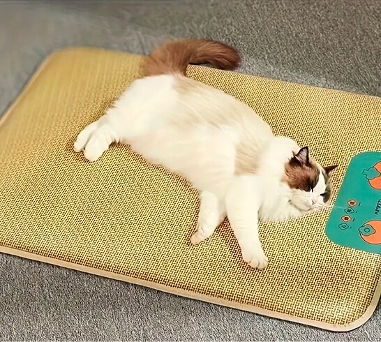 Kedi/köpek matı