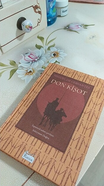 Don kişot romanı