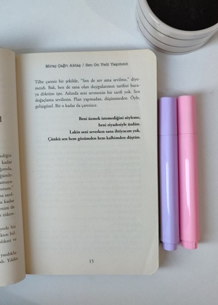 İNDİGO YAYINLARI MİRAÇ ÇAĞRI AKTAŞ SEN ON YEDİ YAŞIMSIN  - Görsel 2