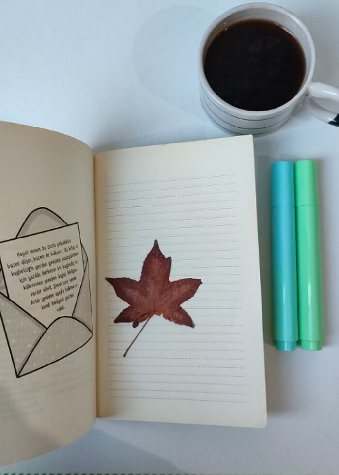 İNDİGO YAYINLARI MİRAÇ ÇAĞRI AKTAŞ HAYAT KAYBETTİĞİN YERDEN BAŞL - Görsel 2