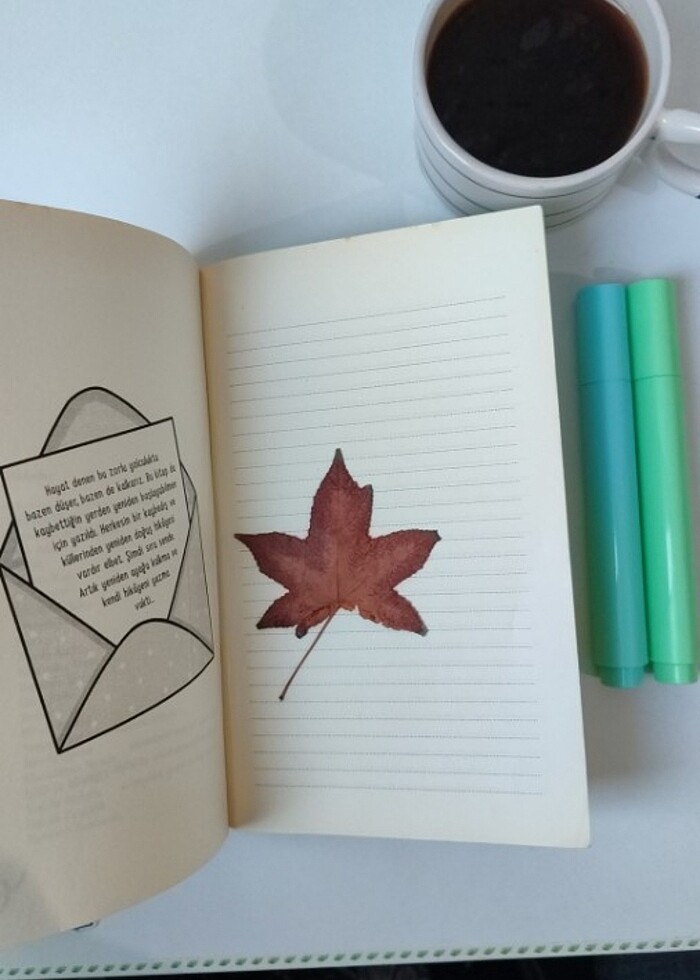 İNDİGO YAYINLARI MİRAÇ ÇAĞRI AKTAŞ HAYAT KAYBETTİĞİN YERDEN BAŞL - Görsel 3