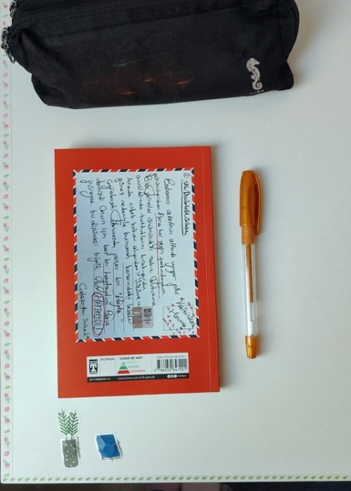 İLK GENÇ TİMAŞ YAYINLARI ANIL BASILI HAYTA - Görsel 2