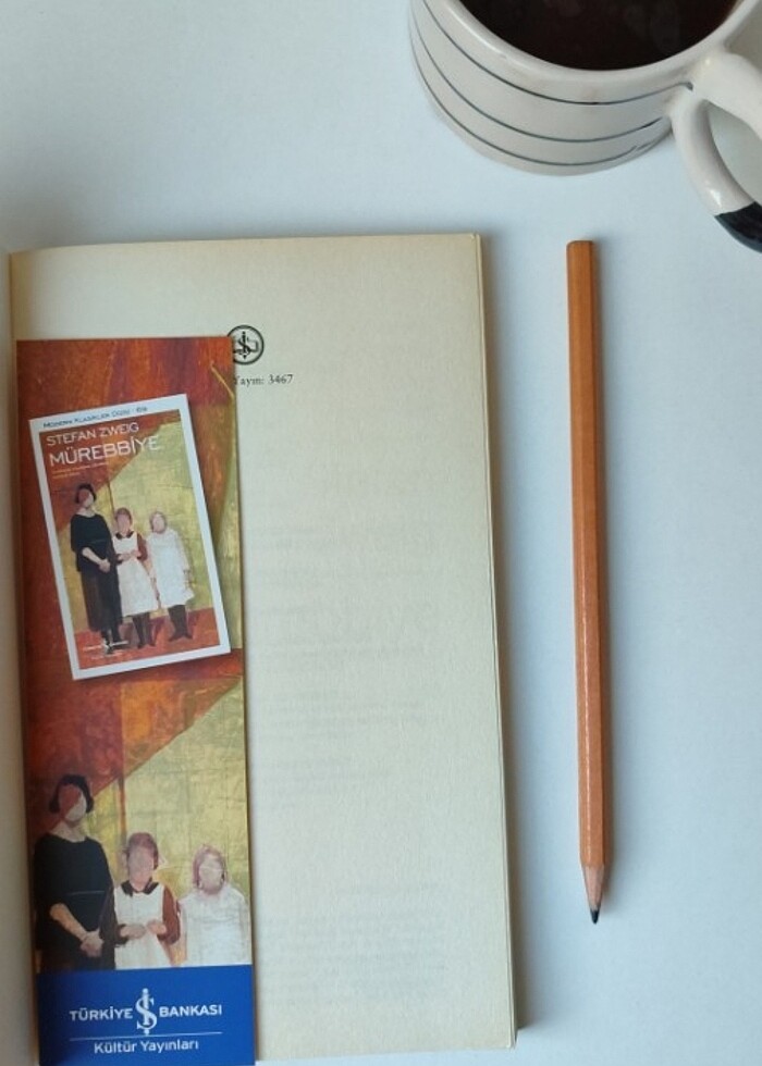 İŞ BANKASI MODERN KLASİKLER DİZİSİ-69 STEFAN ZWEİG MÜREBBİYE  - Görsel 2