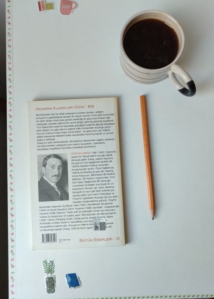 İŞ BANKASI MODERN KLASİKLER DİZİSİ-69 STEFAN ZWEİG MÜREBBİYE  - Görsel 3