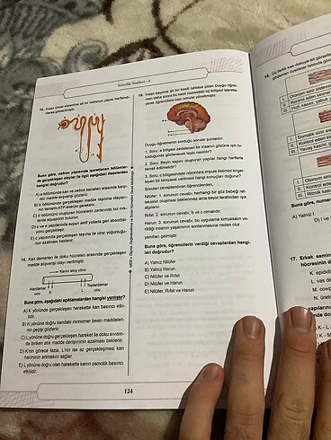  Beden Yks sayısal yeterlilik testi