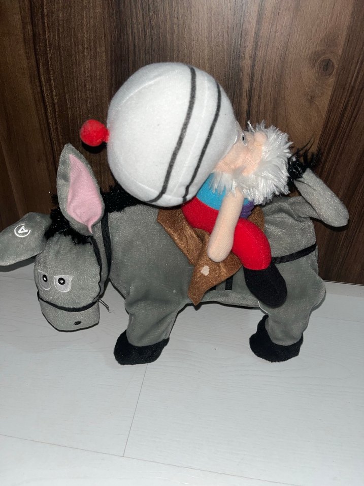 Eşşegin üstünde Nasreddin hoca - Görsel 3