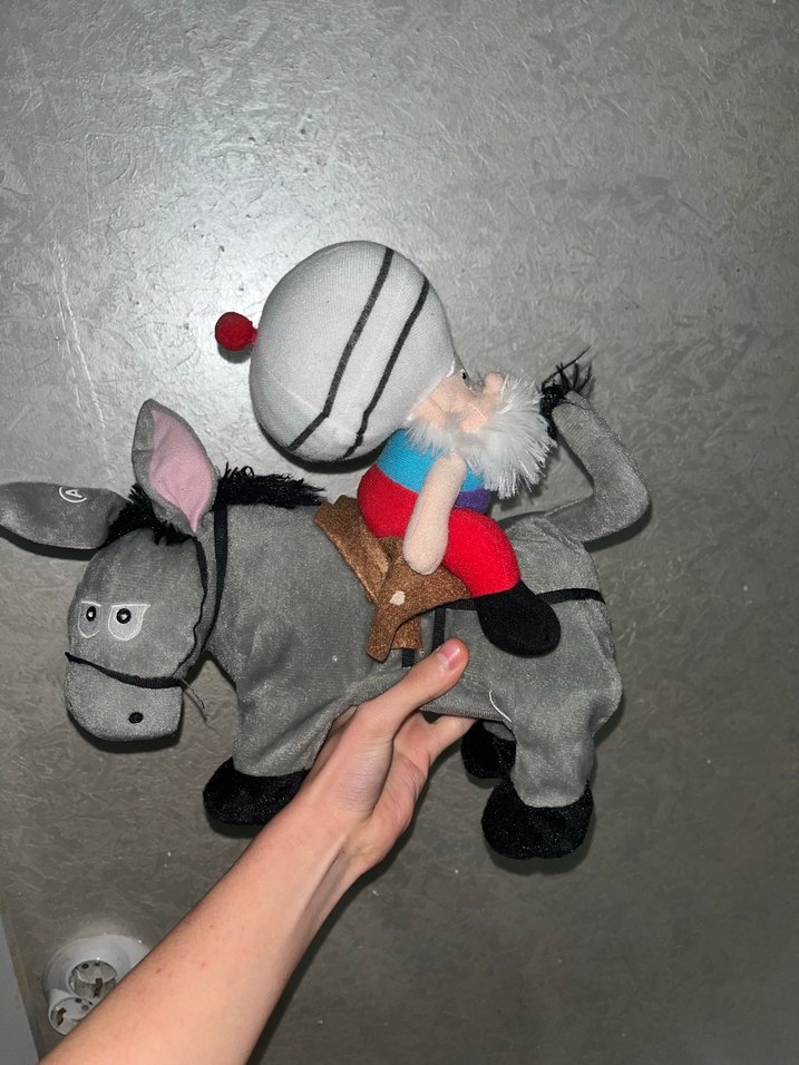 Eşşegin üstünde Nasreddin hoca - Görsel 4