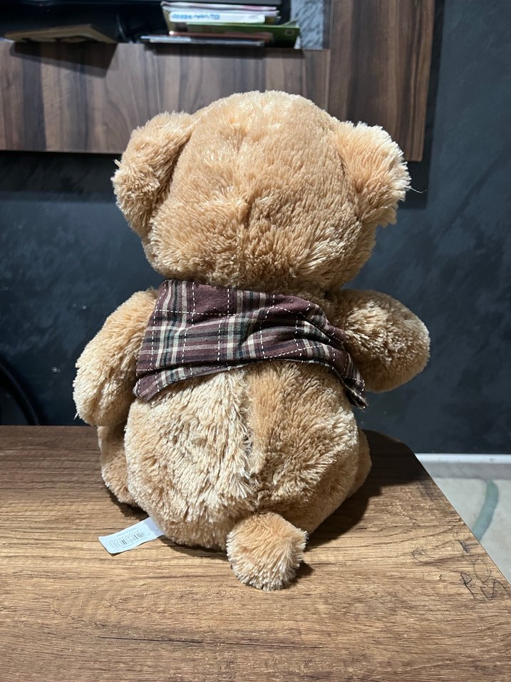 Prof. Bobo peluş Oyuncak ayı - Görsel 2