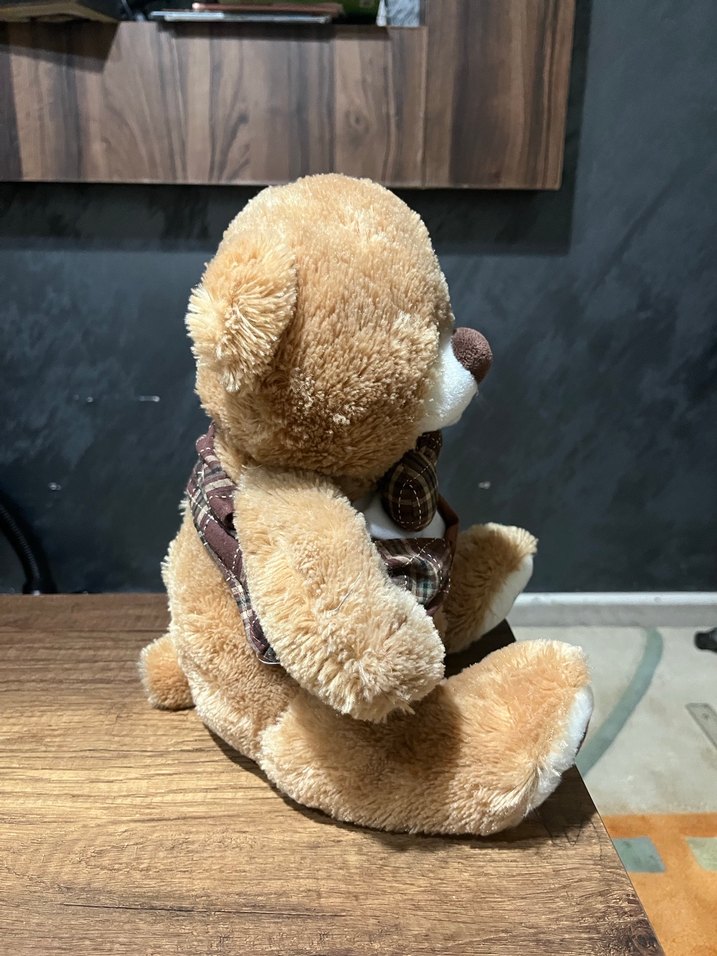 Prof. Bobo peluş Oyuncak ayı - Görsel 3